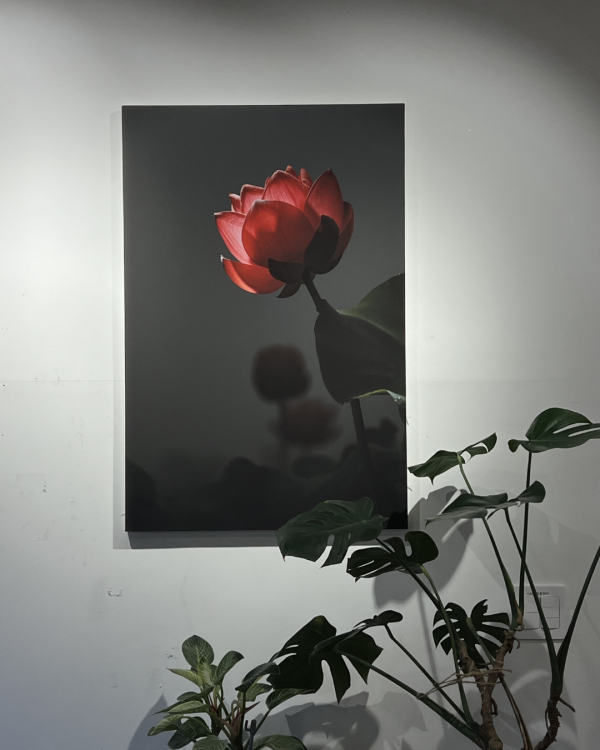 8c1d5eeeb0340a0e81c4327c6ec6bb5f_1788142241_7476.png